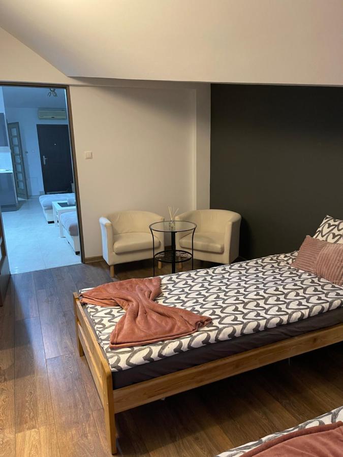 Apartament Rodzinny Ostrowiec Sw Островец-Свентокшиский Экстерьер фото
